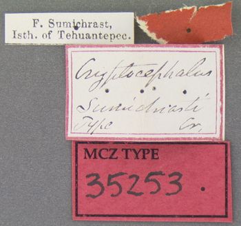 Media type: image; Entomology 35253   Aspect: labels